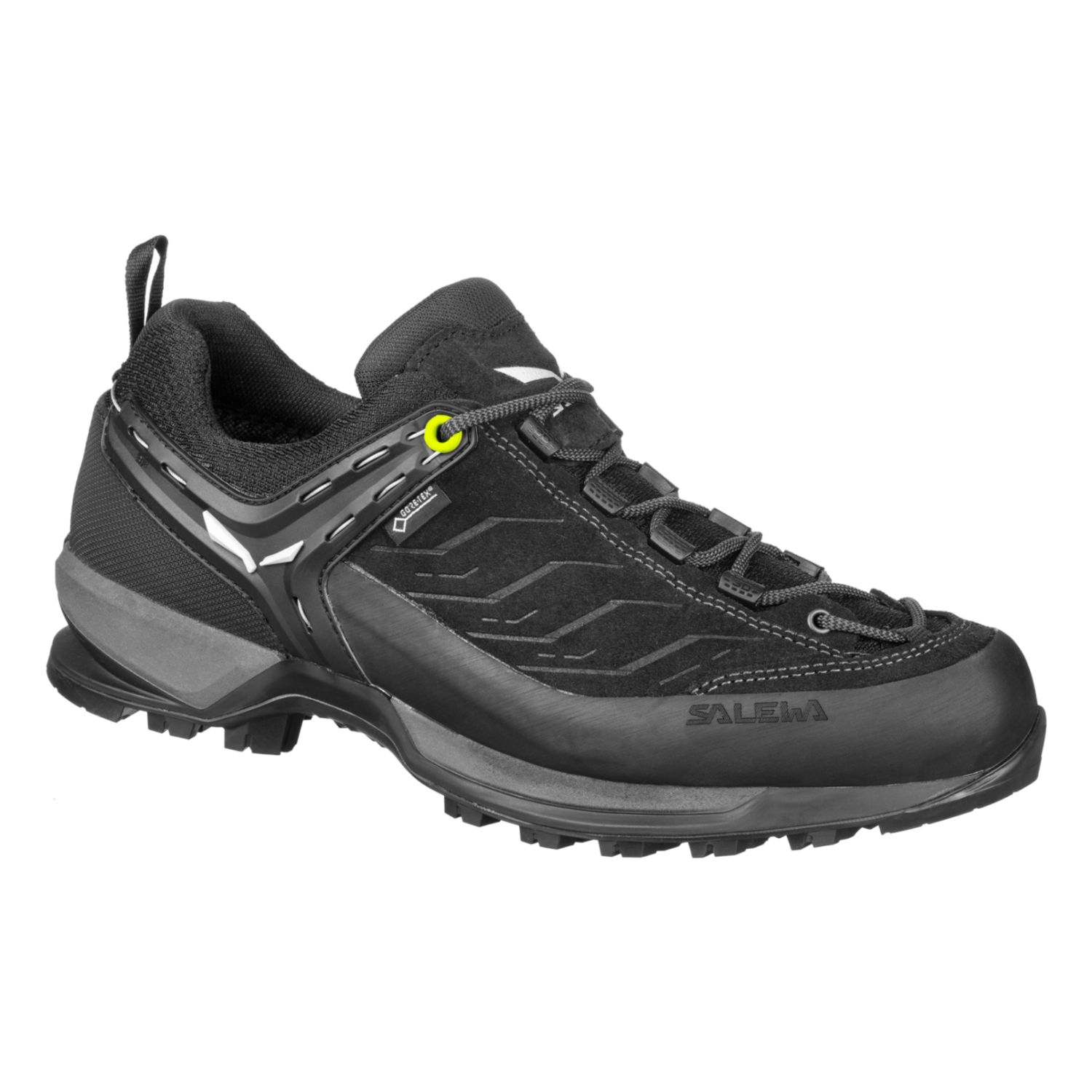Salewa | Mountain Trainer GTX 