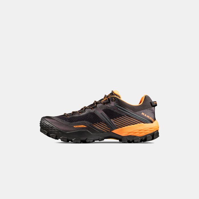 MAMMUT | Ducan II Low GTX | Men