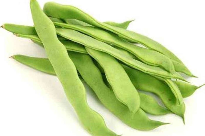 Хавтгай вандуй