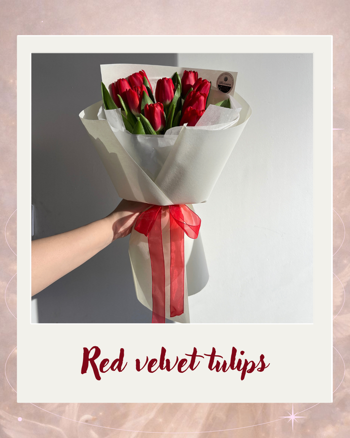 Red velvet tulips