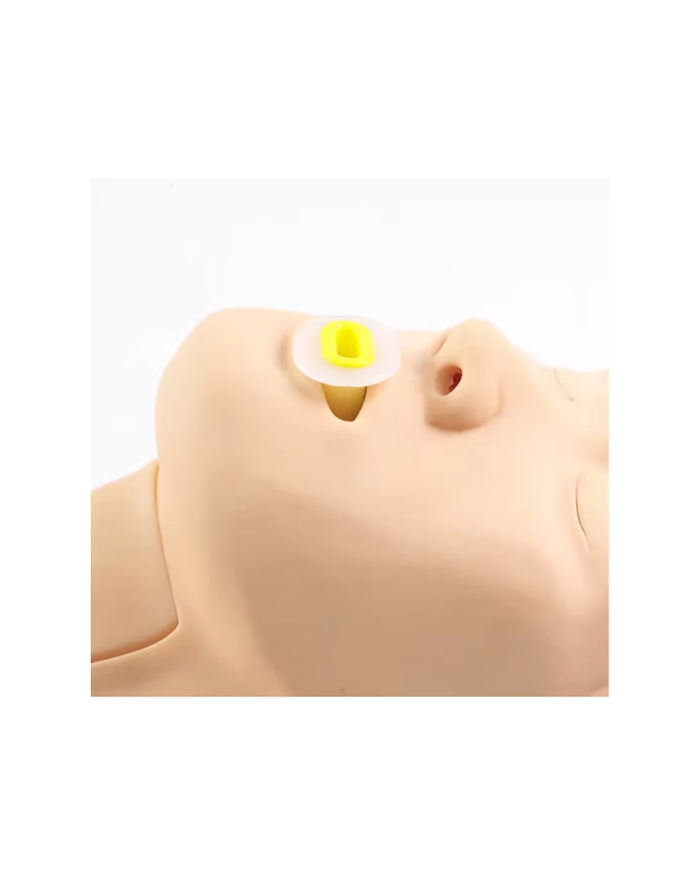 Амьсгалын замын менежментийн ахисан түвшний загвар