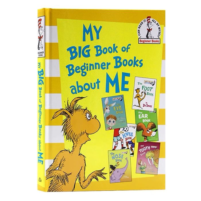 MY BIG BOOK of beginner books about ME