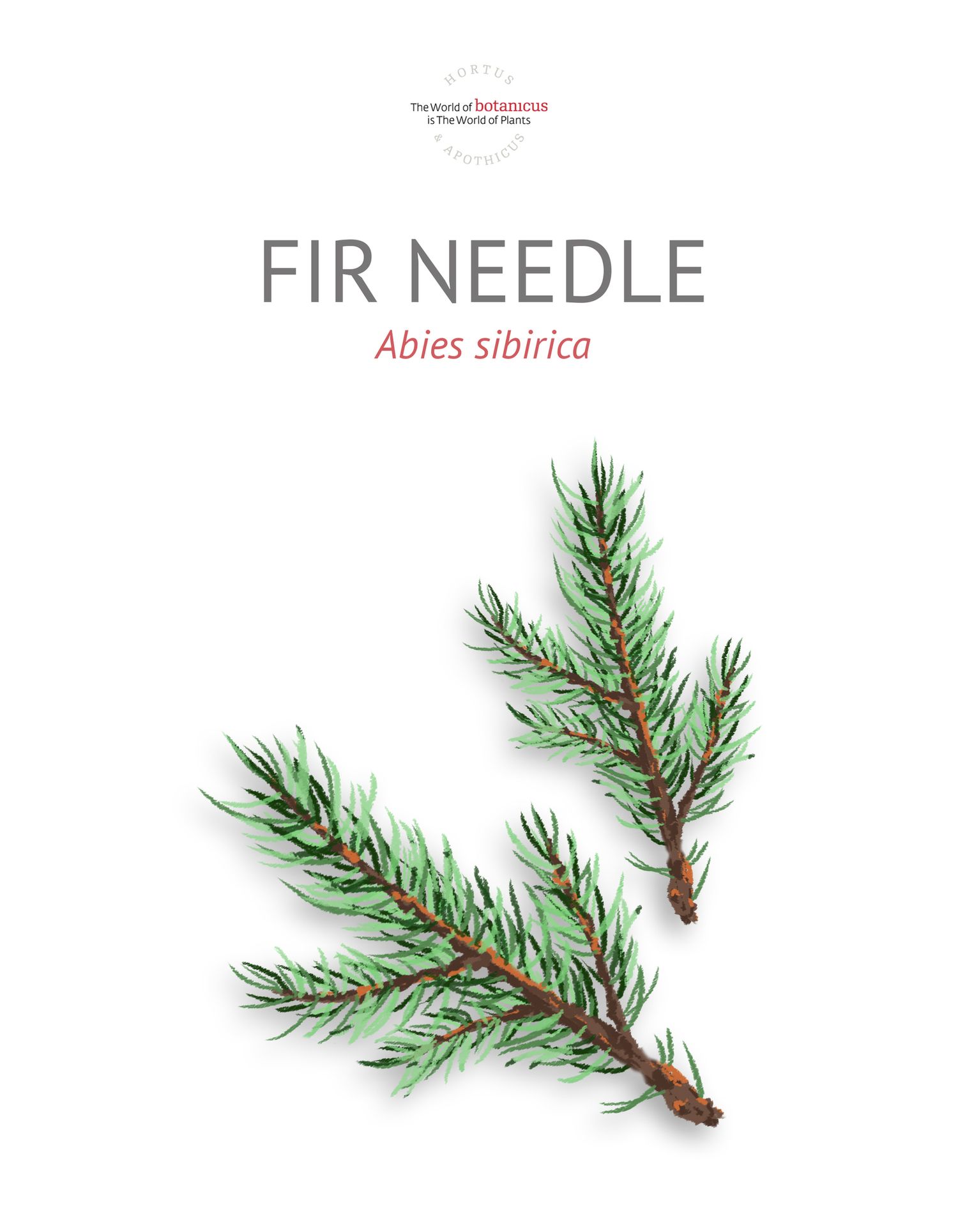 Нарс (Fir needle siberian)