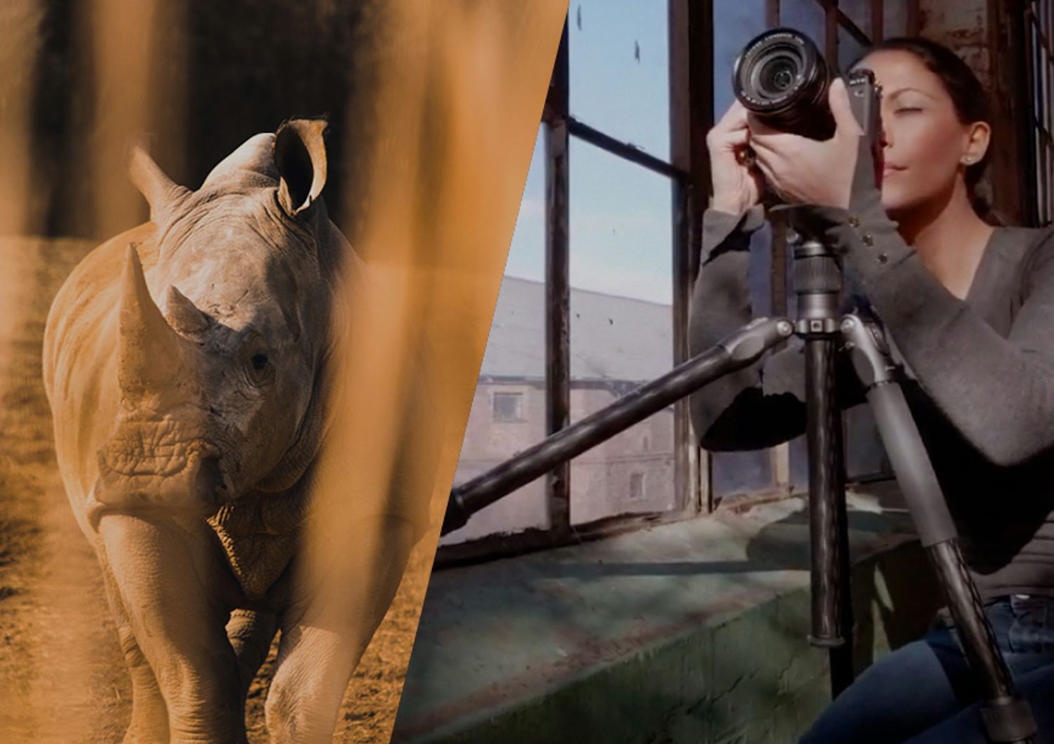 RHINO SERIES TRIPOD