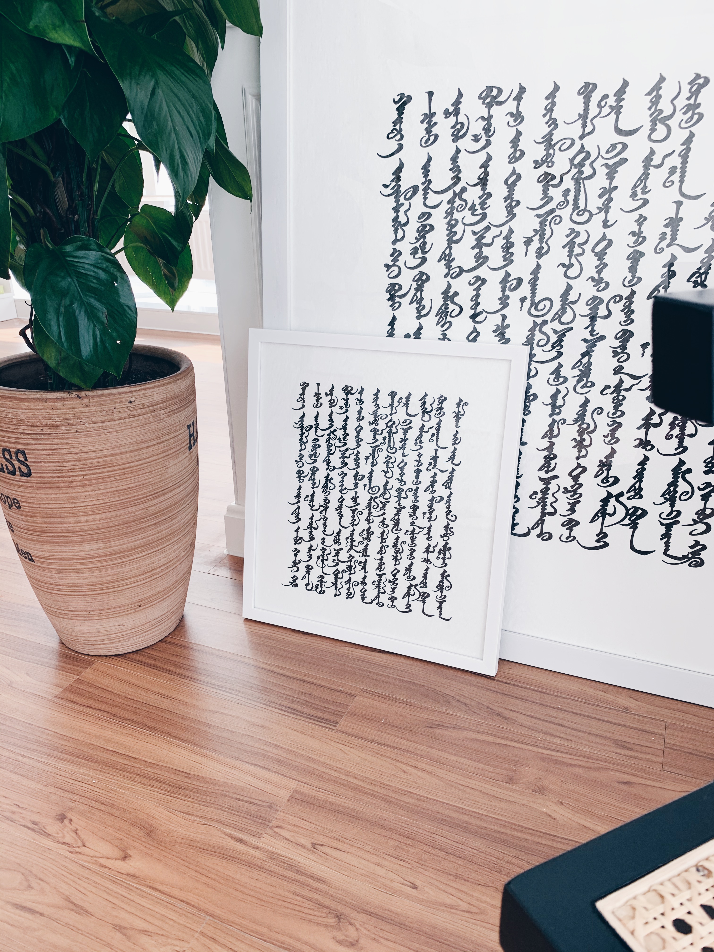 Жиголо бар үштік Жиголо бар үштік