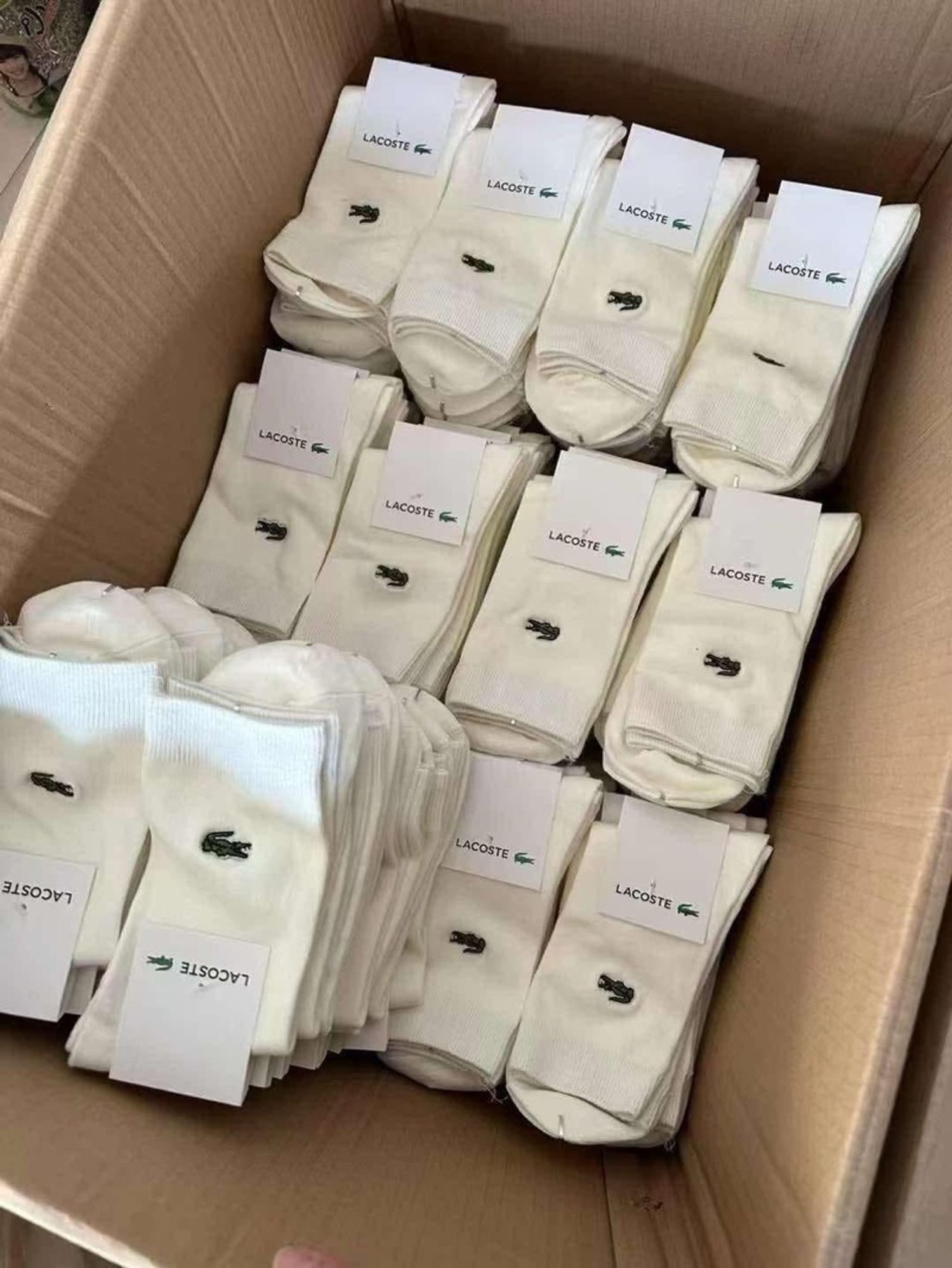 LACOSTE оймс 