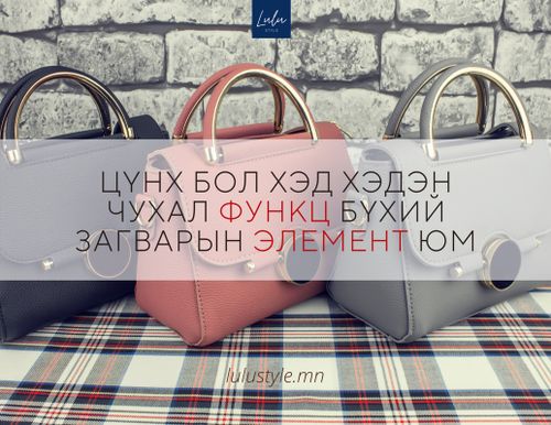 Таньд заавал байх ёстой зарим төрлийн эмэгтэйчүүдийн цүнх