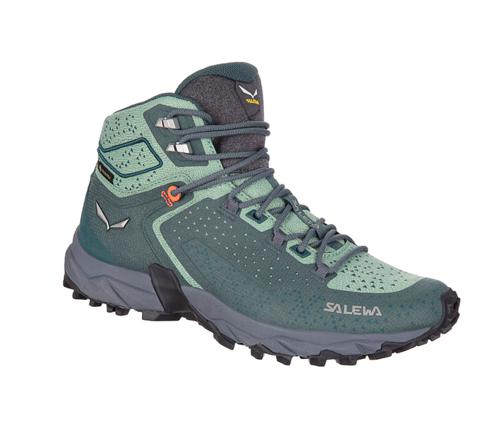 Salewa | Alpenrose 2 | Mid GTX | Women