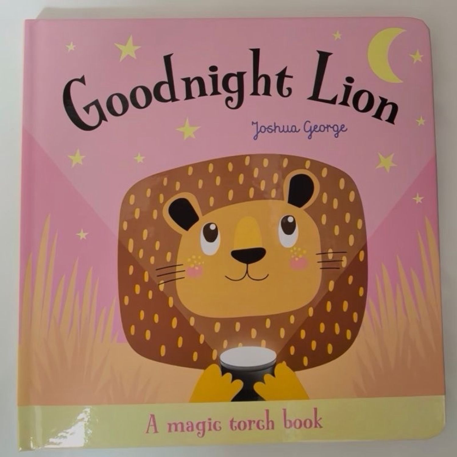 Goodnight Lion