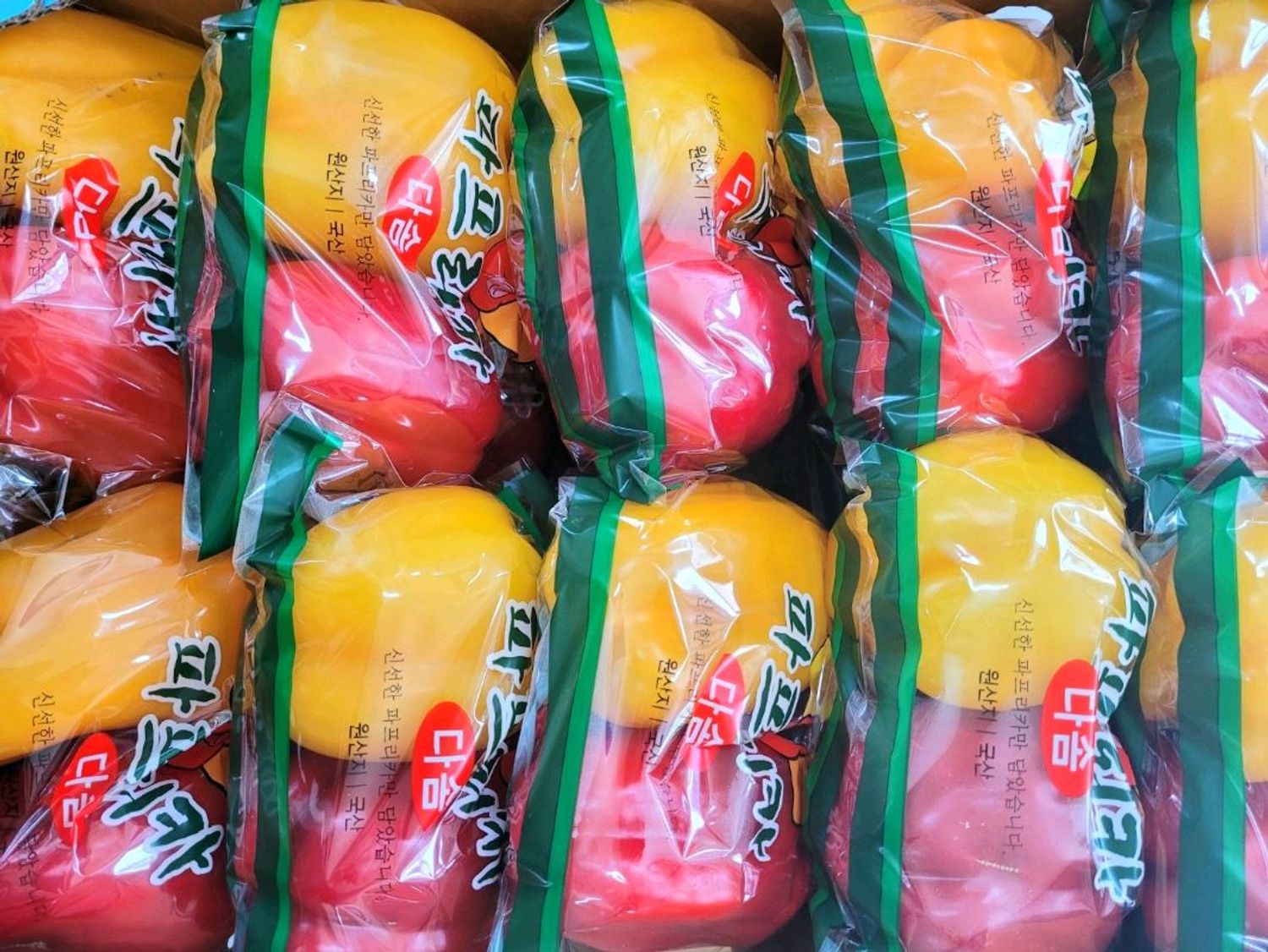 АМТАТ ЧИНЖҮҮ / Two colored Paprika / 1pk