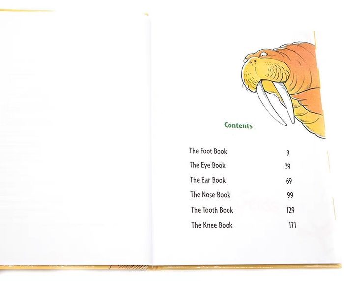 MY BIG BOOK of beginner books about ME