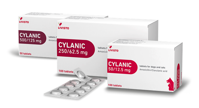 CYLANIC 250mg + 62,5 mg
