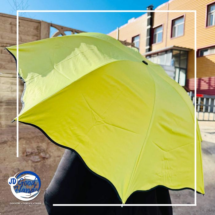 Зоонтог -өнгөлөг, хөнгөн 