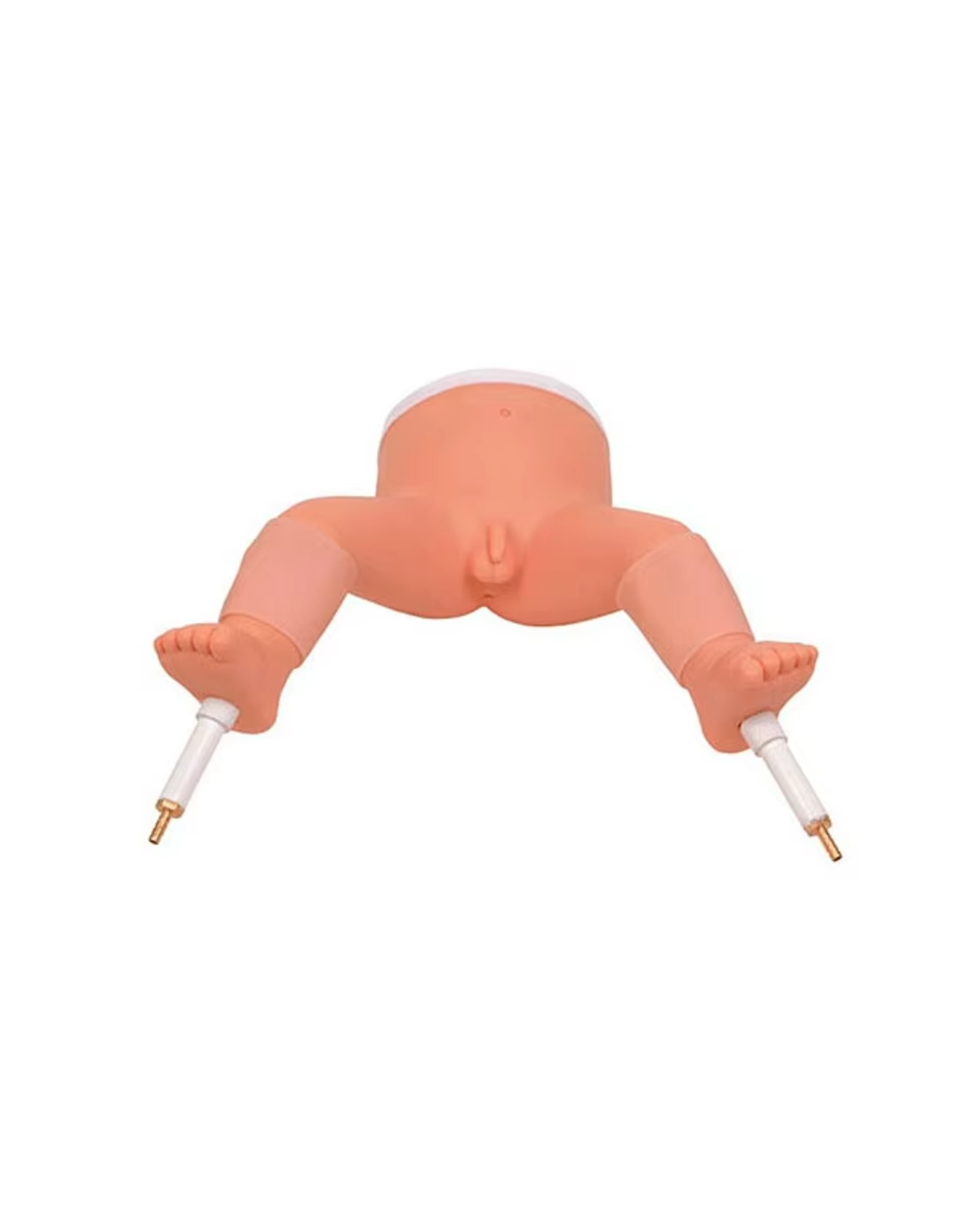 Нярайн ясны чөмөгний хатгалтын загвар