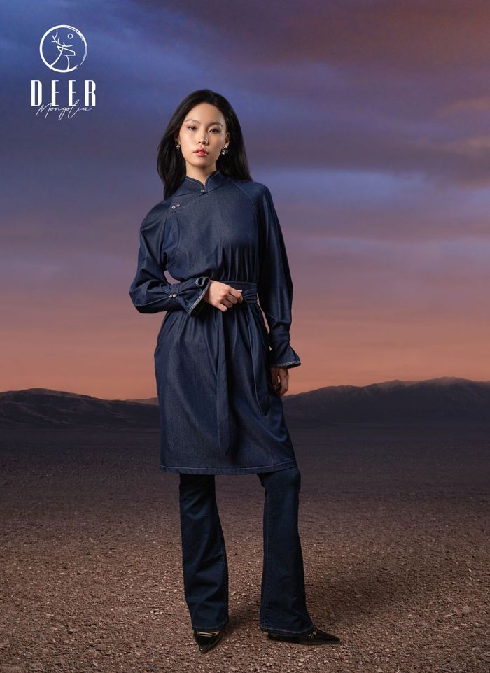 Хишигт даашинз