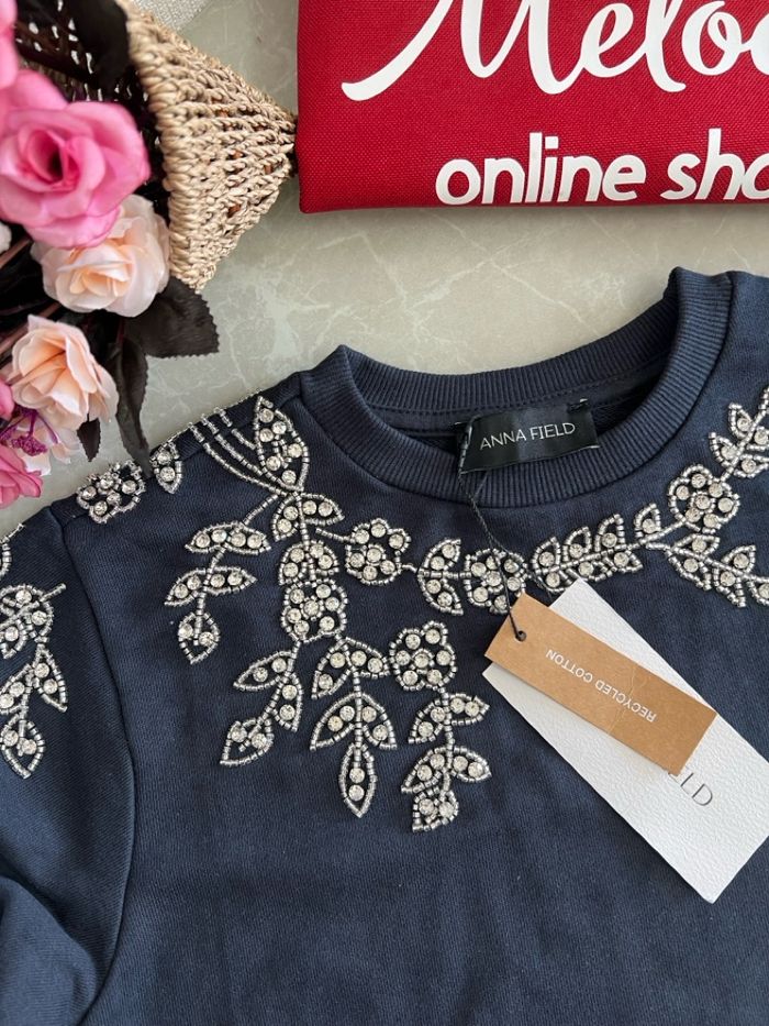 Anna field shigtgeetei tsamts