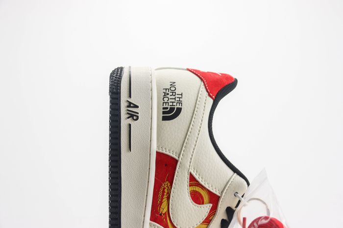 Nike Air Force 1 Low x the north face 11