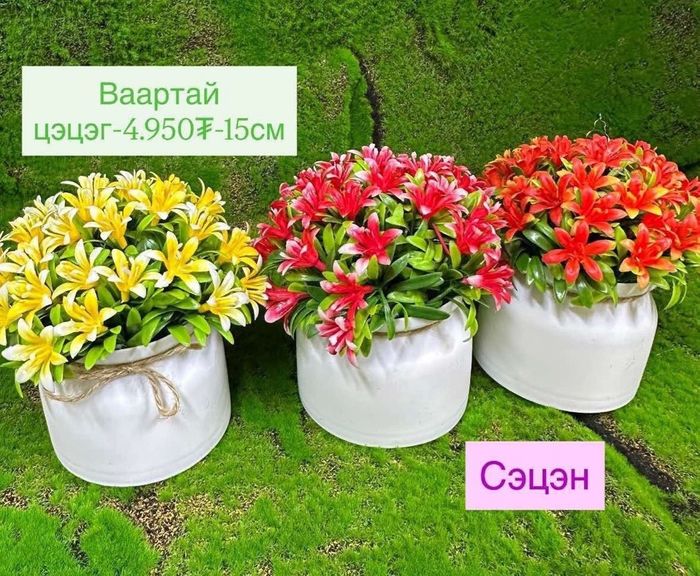 Ваартай цэцэг