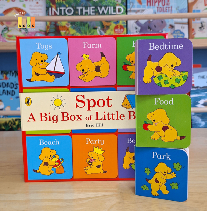 A Big Box of Little Books 