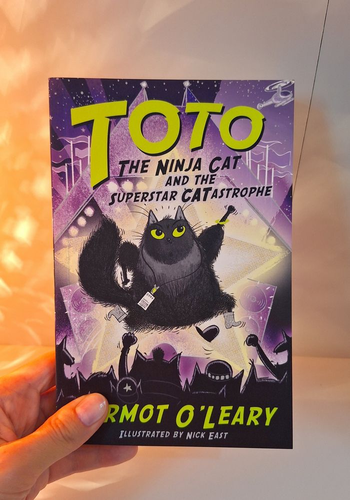 Toto the Ninja Cat 