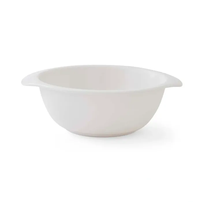 Mini Merion Bowl Dino 13.5cm (Single)