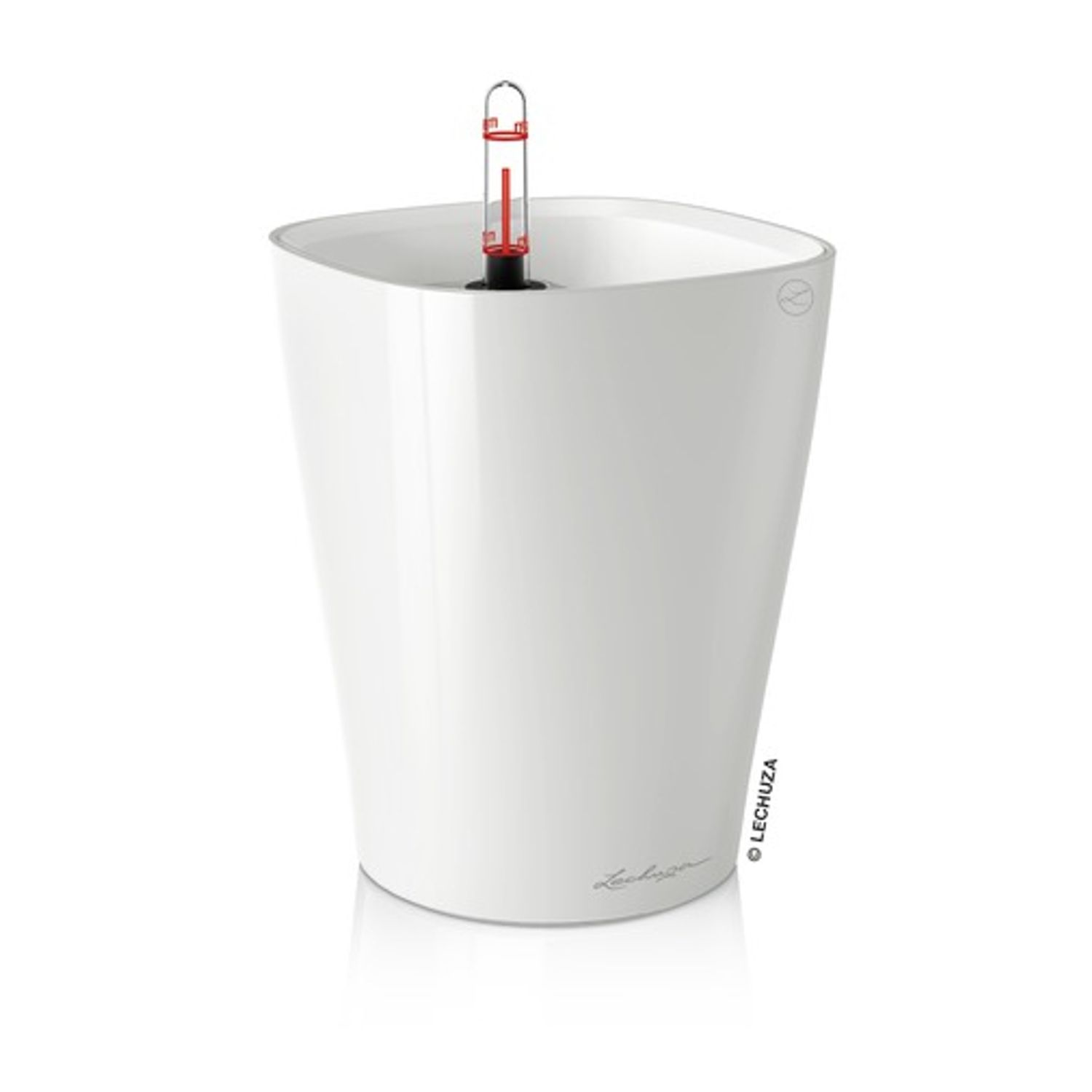Deltini