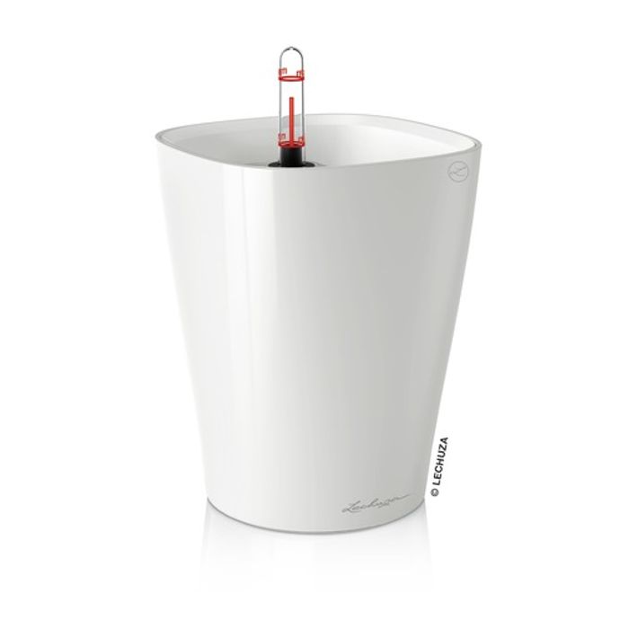 Deltini