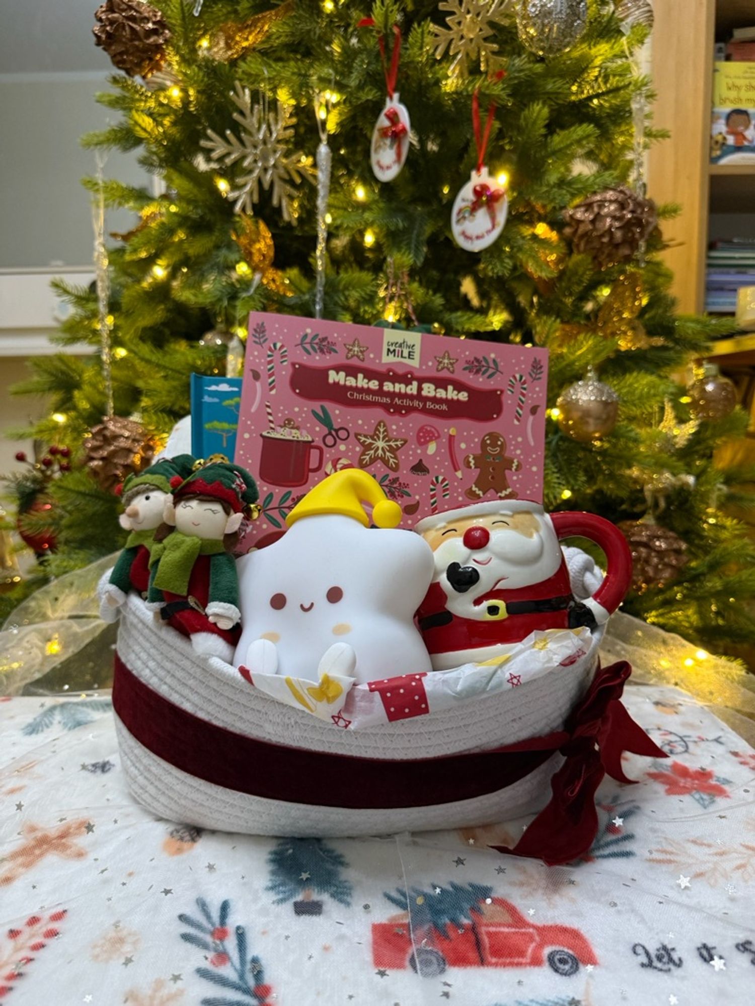 Book basket (5+ years old)