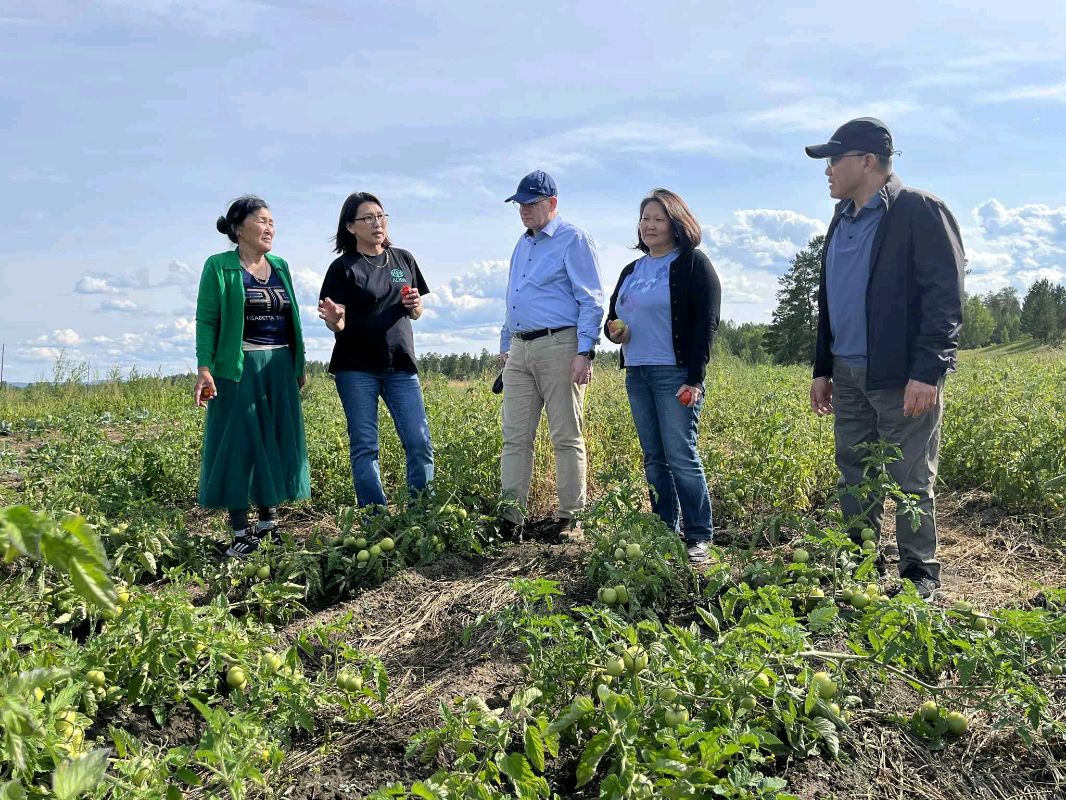 🥦🍅 “Органик Хөдөө Аж Ахуйн Түншлэл-II” Төсөл 