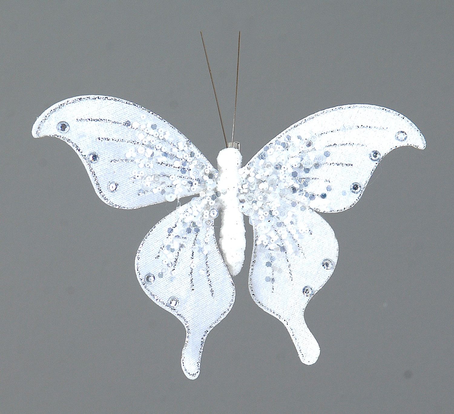 White butterfly