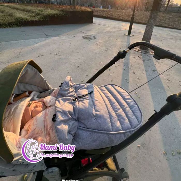 Тэрэгний мишок