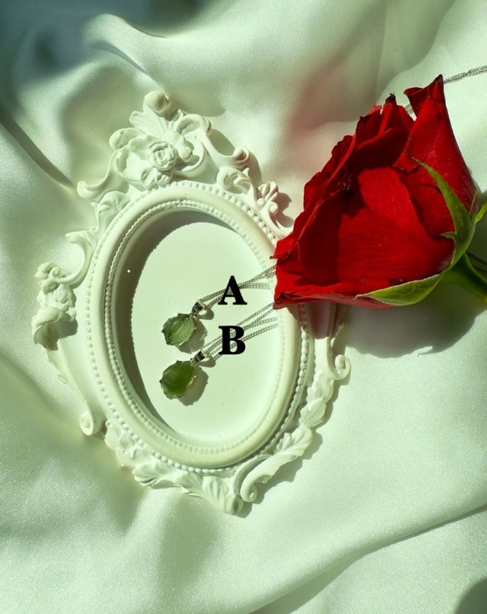 https://cdn.zochil.shop/9f2a7115-84f8-41ab-96b5-3dafa064aa06_t700.jpg