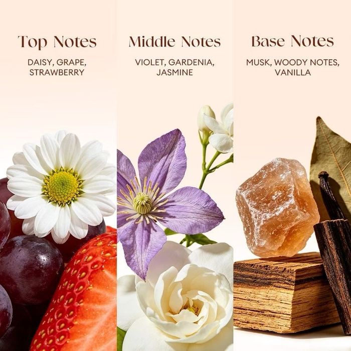 https://cdn.zochil.shop/9f4f0652-7acb-40f6-bae4-c4c1c8f7b4e5_t700.jpg