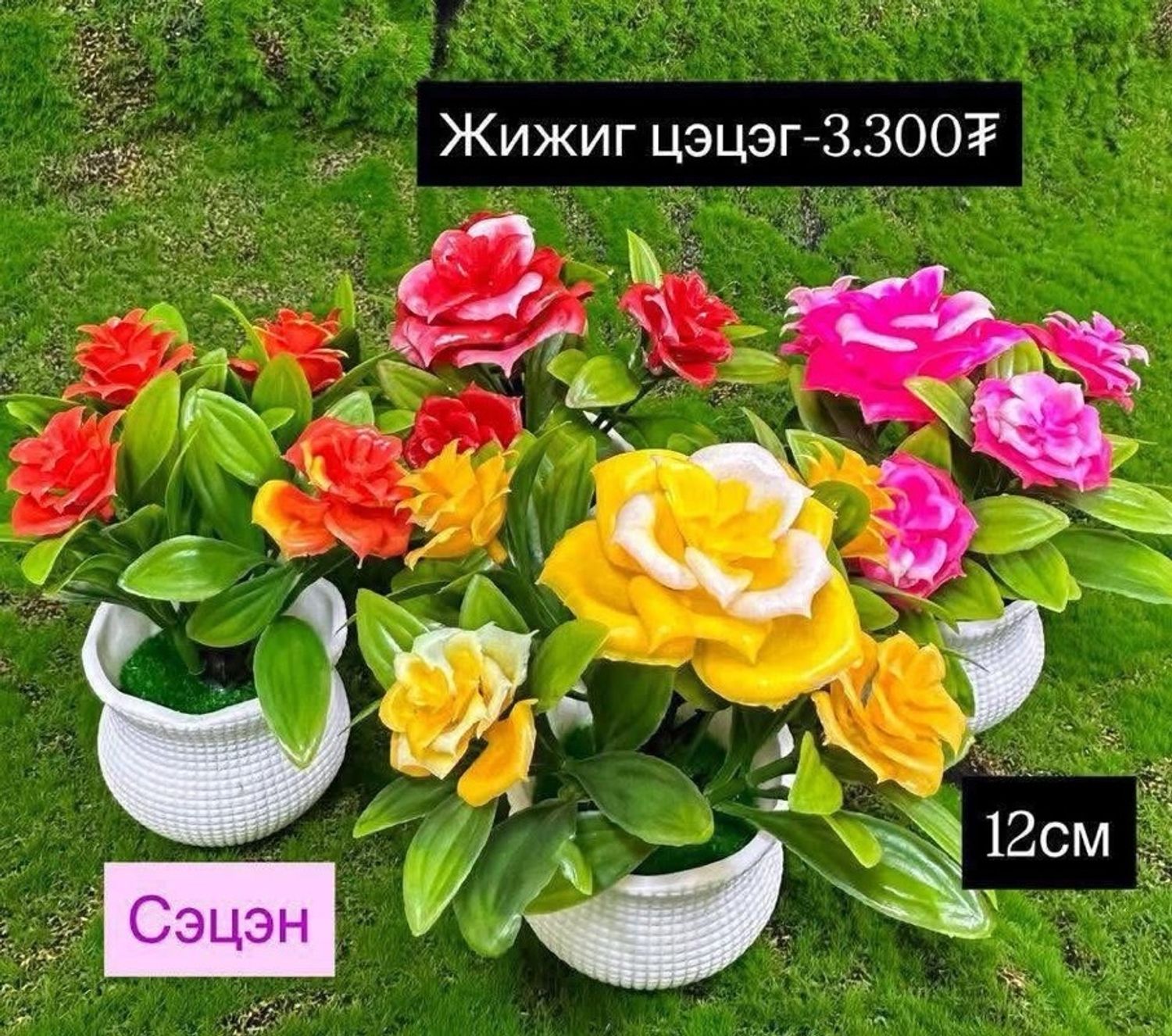 Жижиг цэцэг