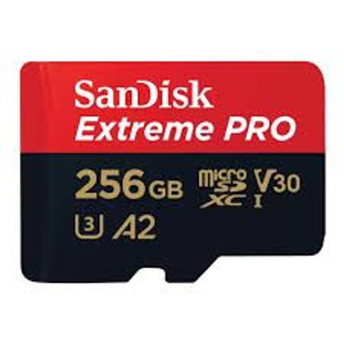 Sandisk 256Gb SD CARD