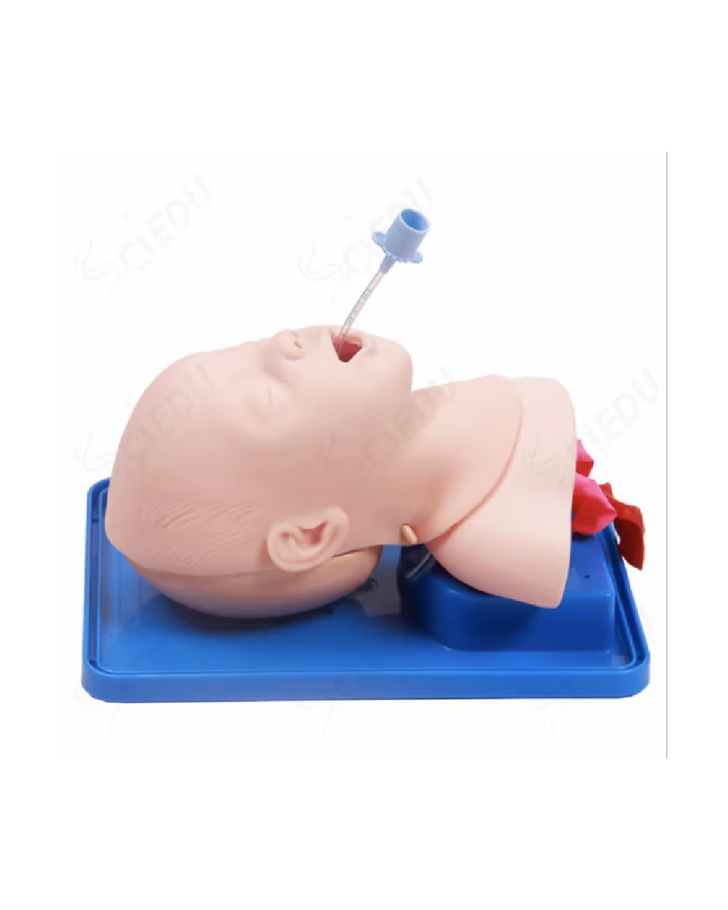 Нярайн интубацийн загвар