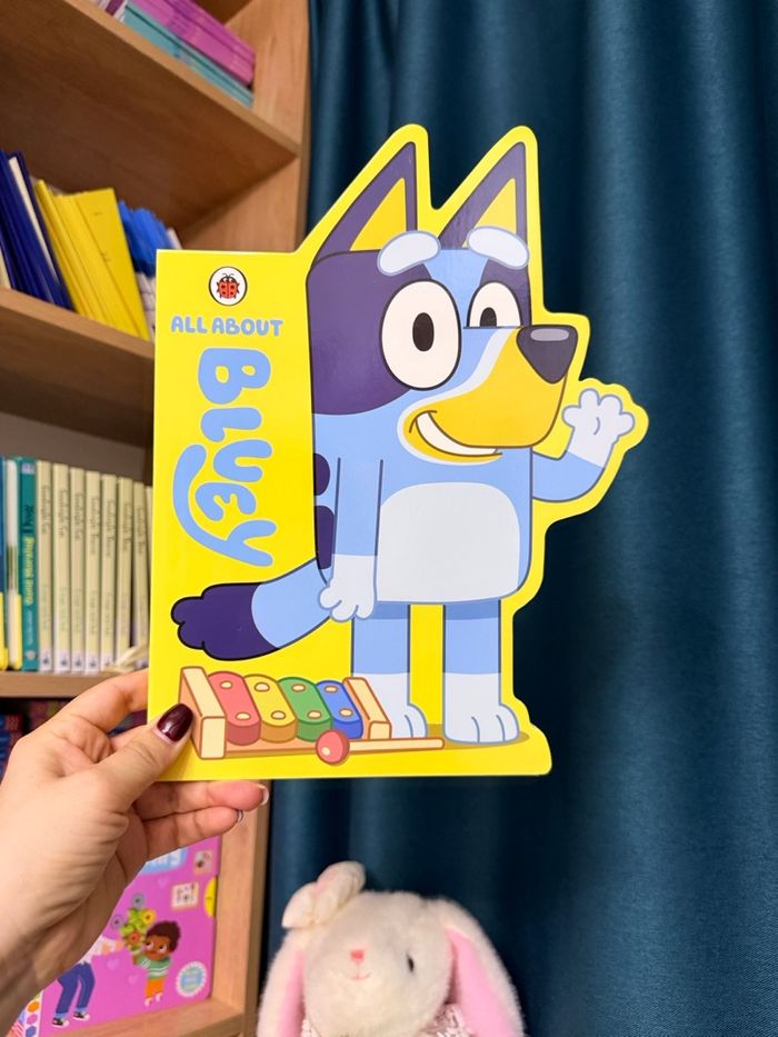 All about Bluey