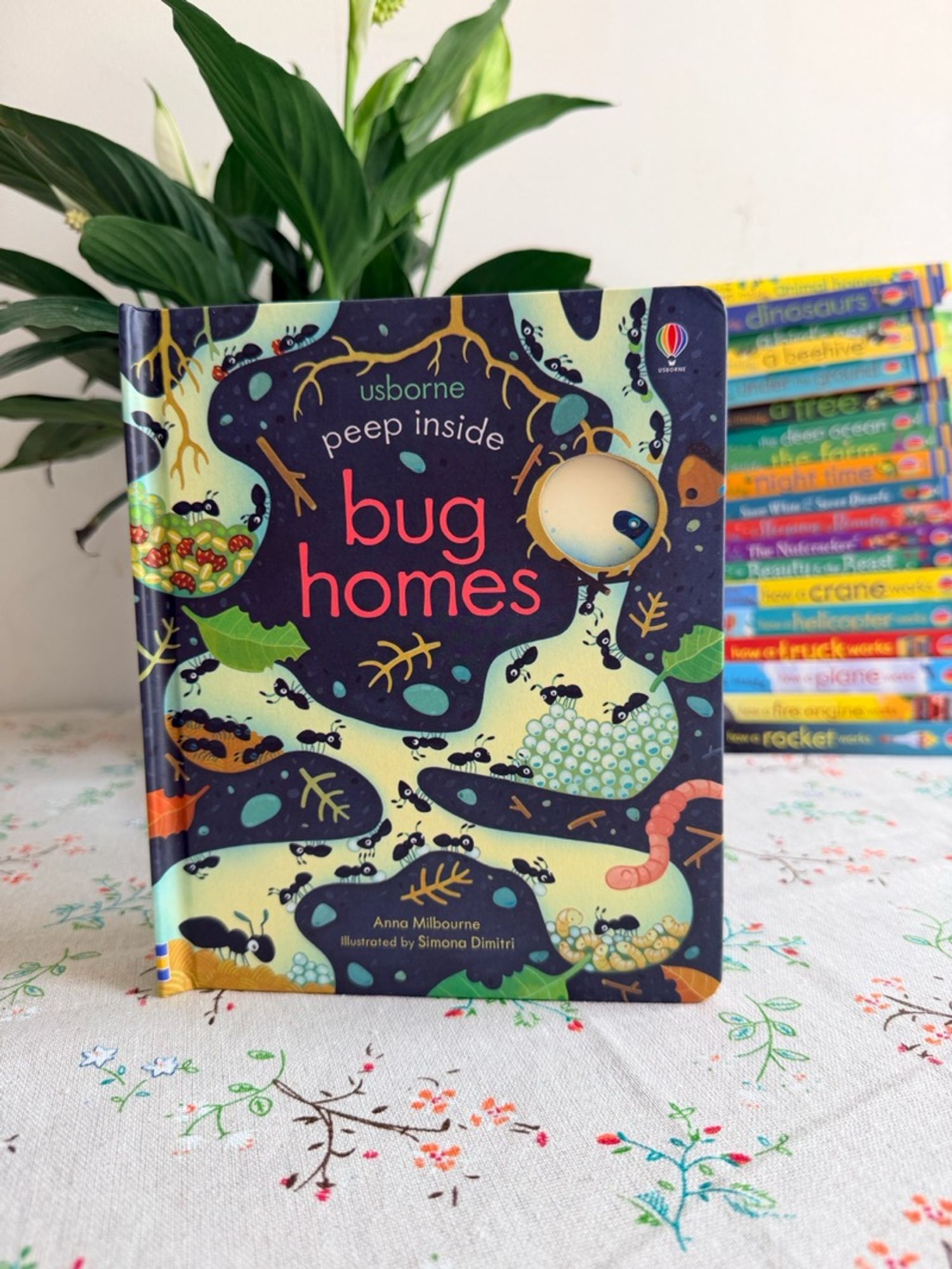 Peep inside Bug homes