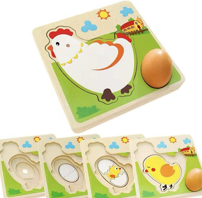 Chicken growth puzzle 