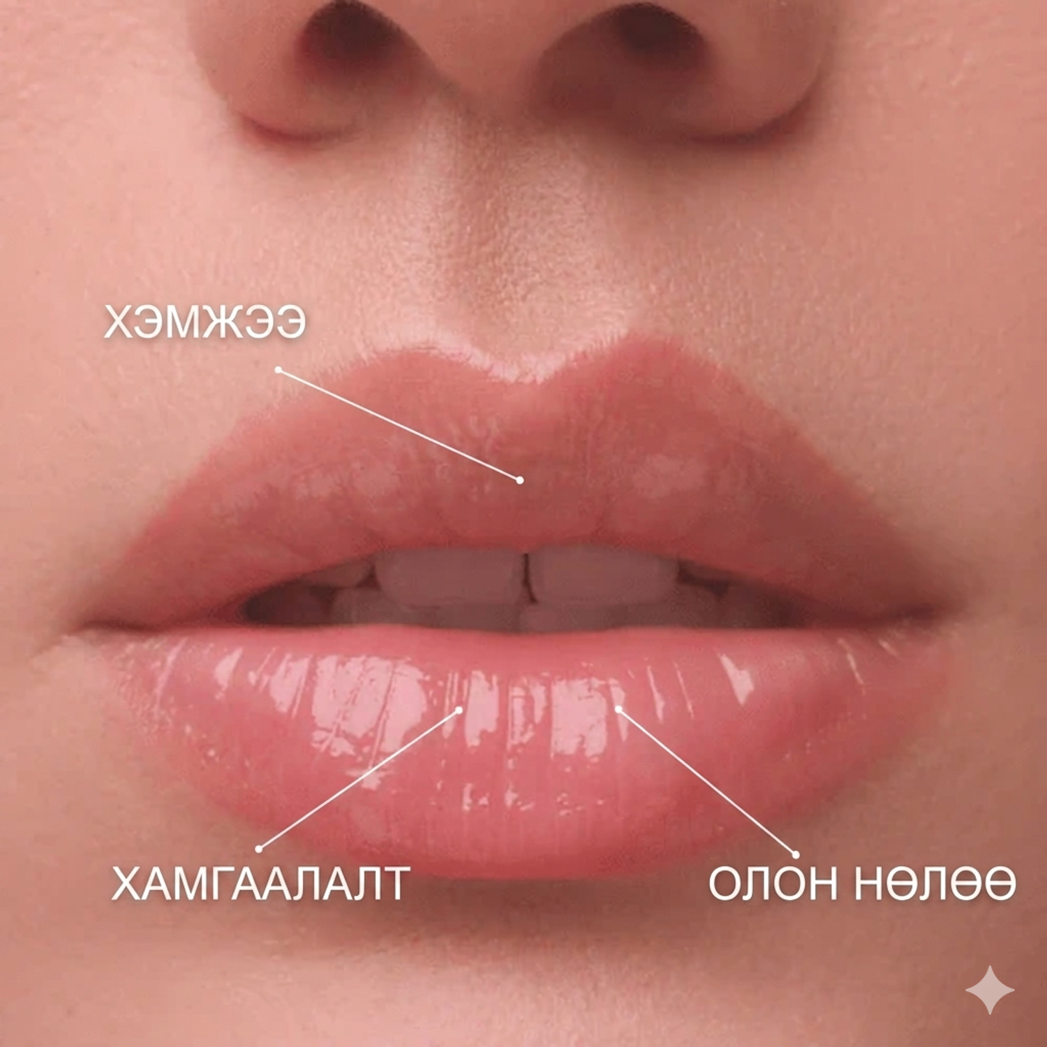 https://cdn.zochil.shop/a18866d6-9ec0-4ad9-b9c5-4d591d670189_t1500.png