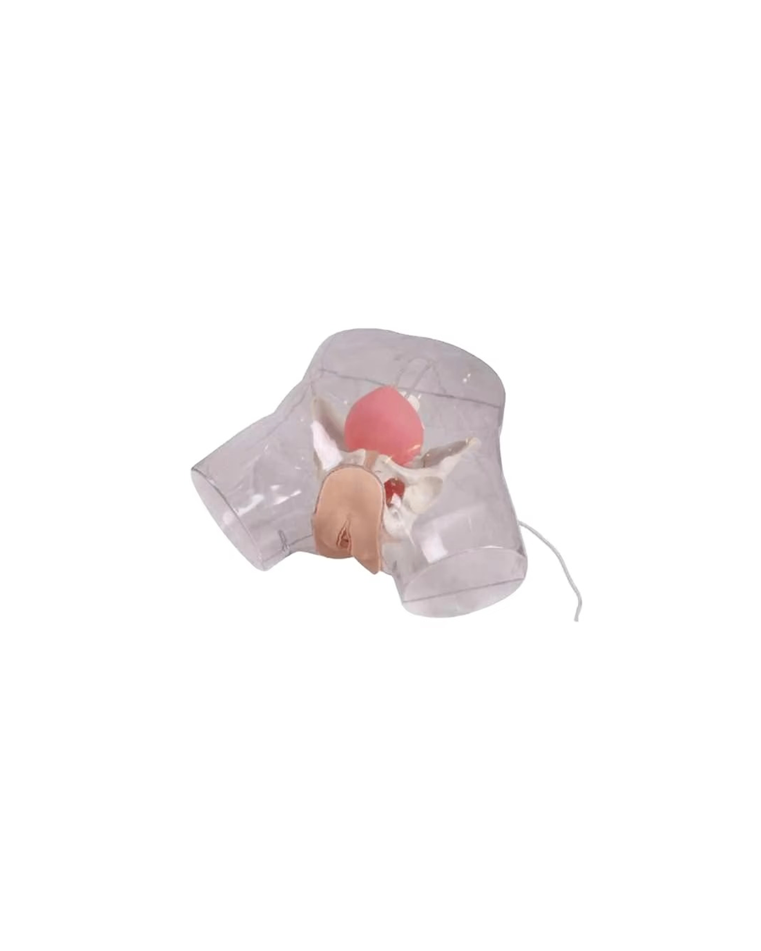 Эмэгтэй катетерын тунгалаг загвар