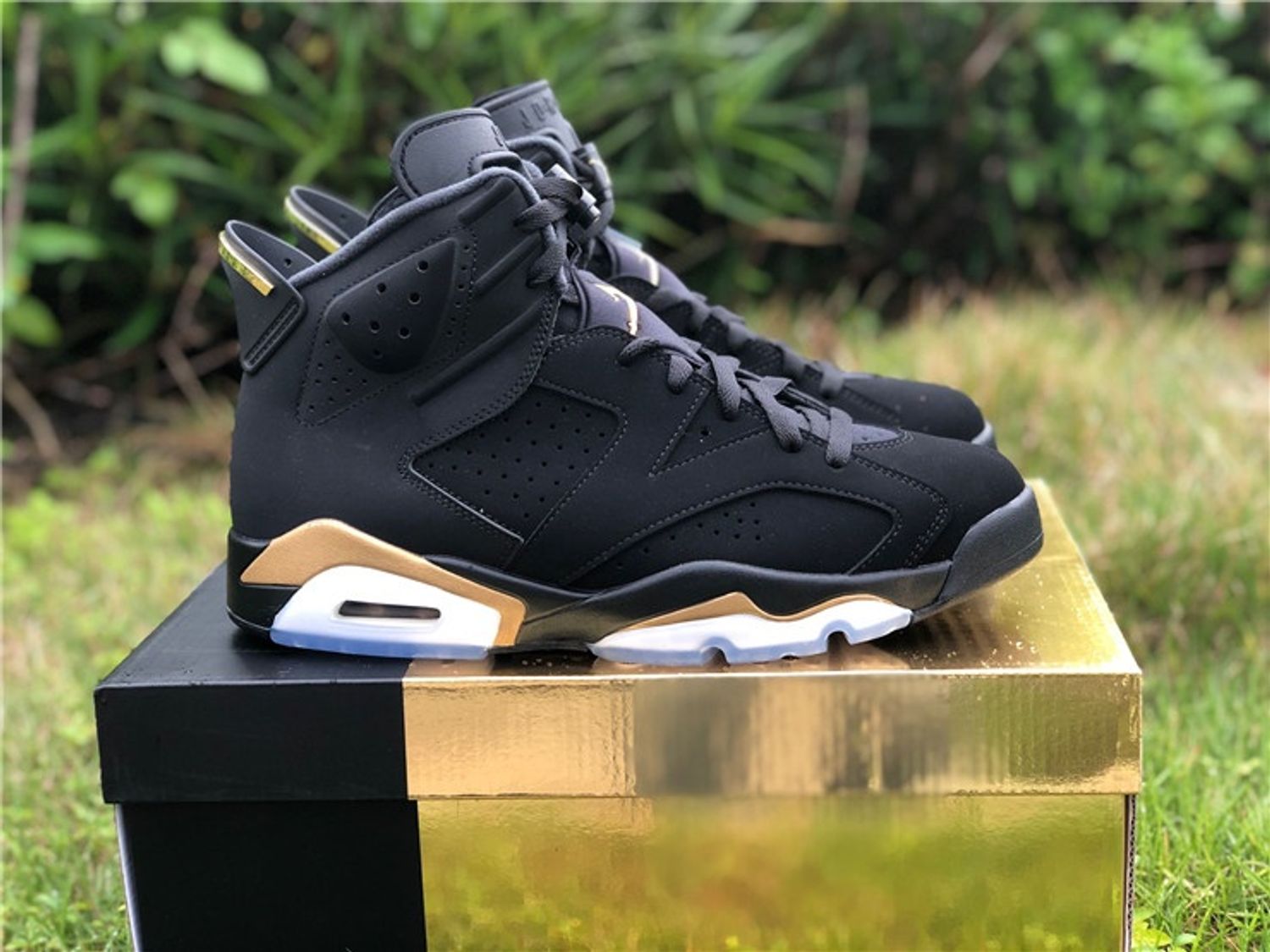 Air Jordan 6 Retro DMP 