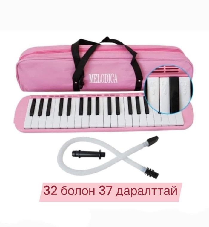 32 даралттай пионика