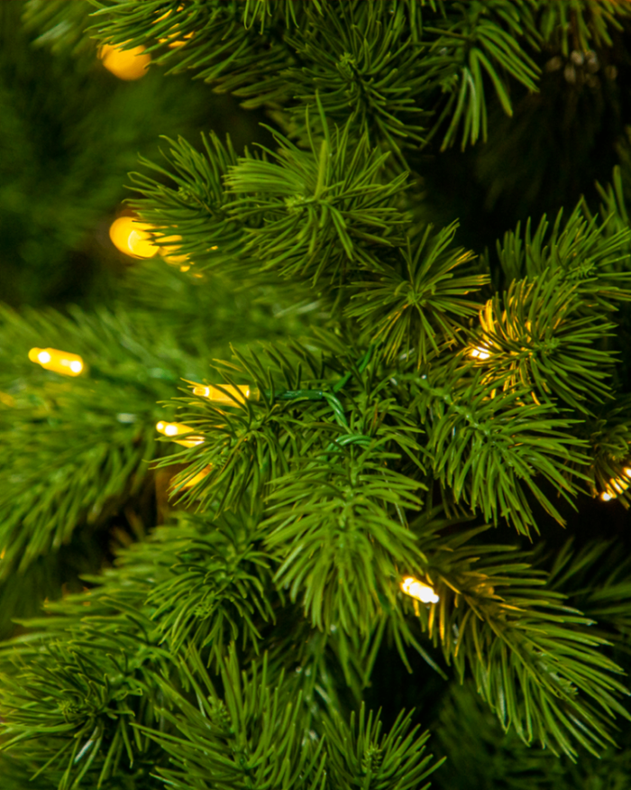 Саглагар канад