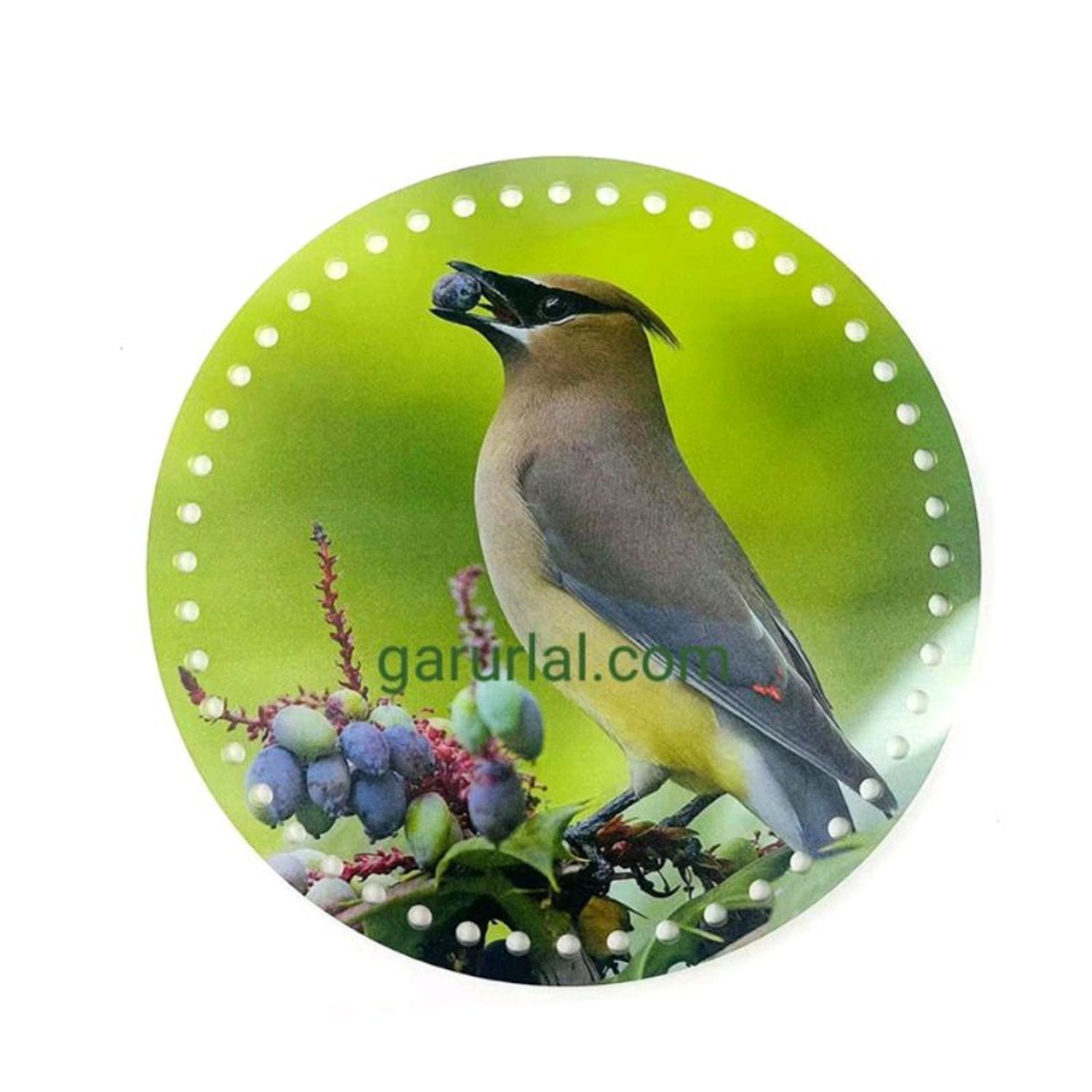 зурагтай дугуй