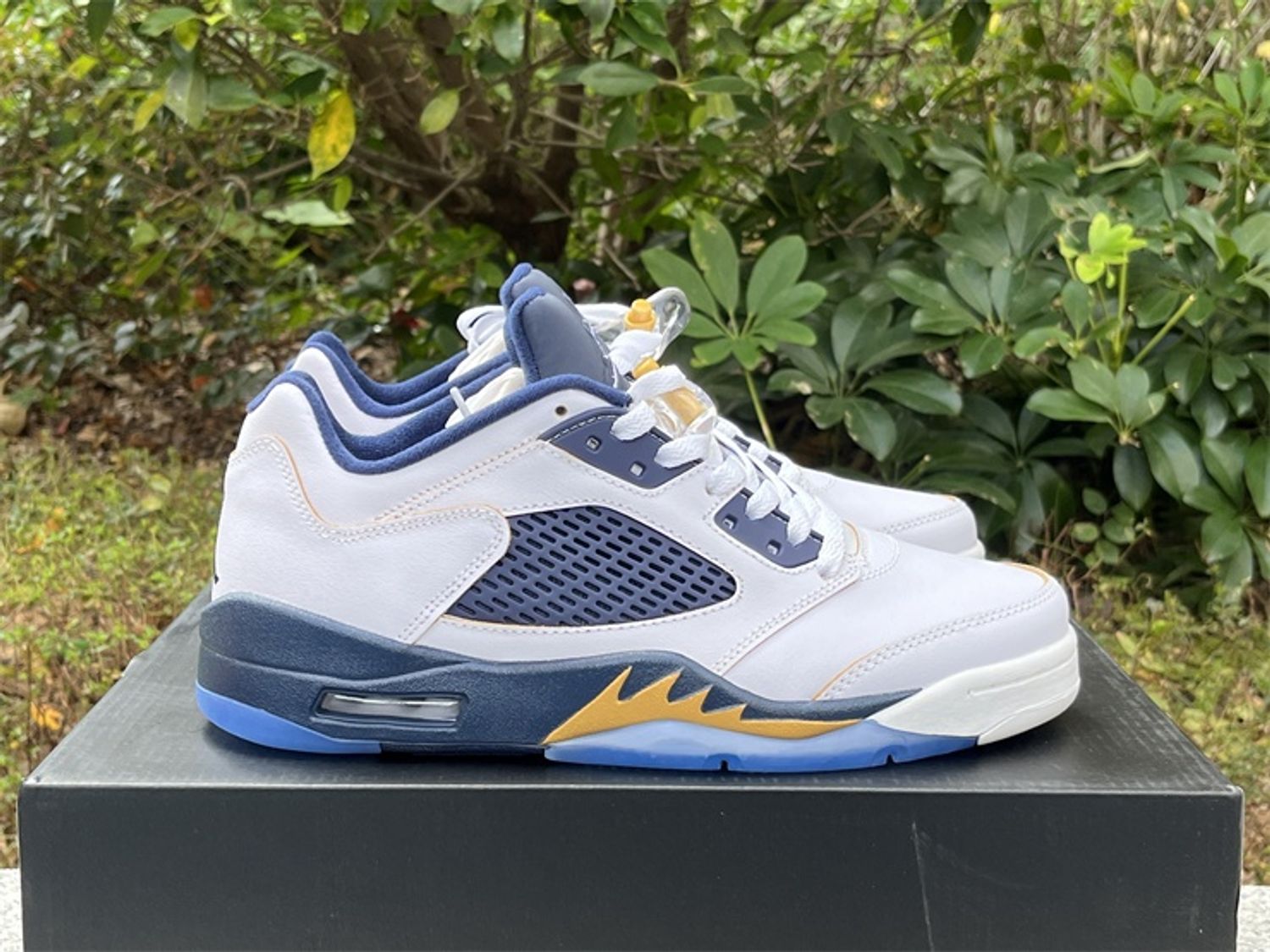 Air Jordan 5 Low “Dunk From Above”