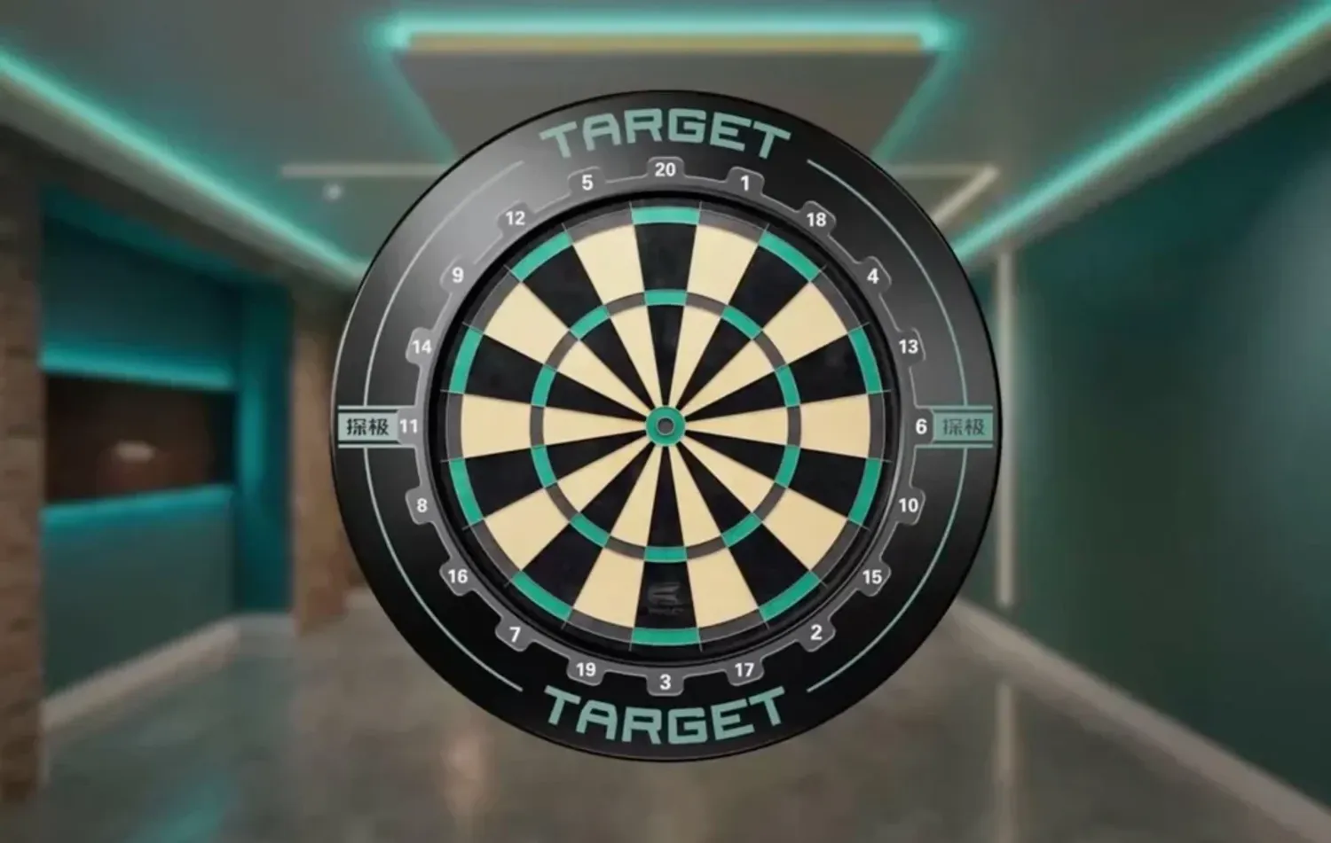 TARGET GRAVIT DARTBOARD & SURROUND BUNDLE 2026 - Хүрээтэй самбар