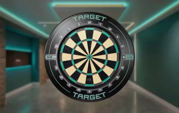 TARGET GRAVIT DARTBOARD & SURROUND BUNDLE 2026 - Хүрээтэй самбар