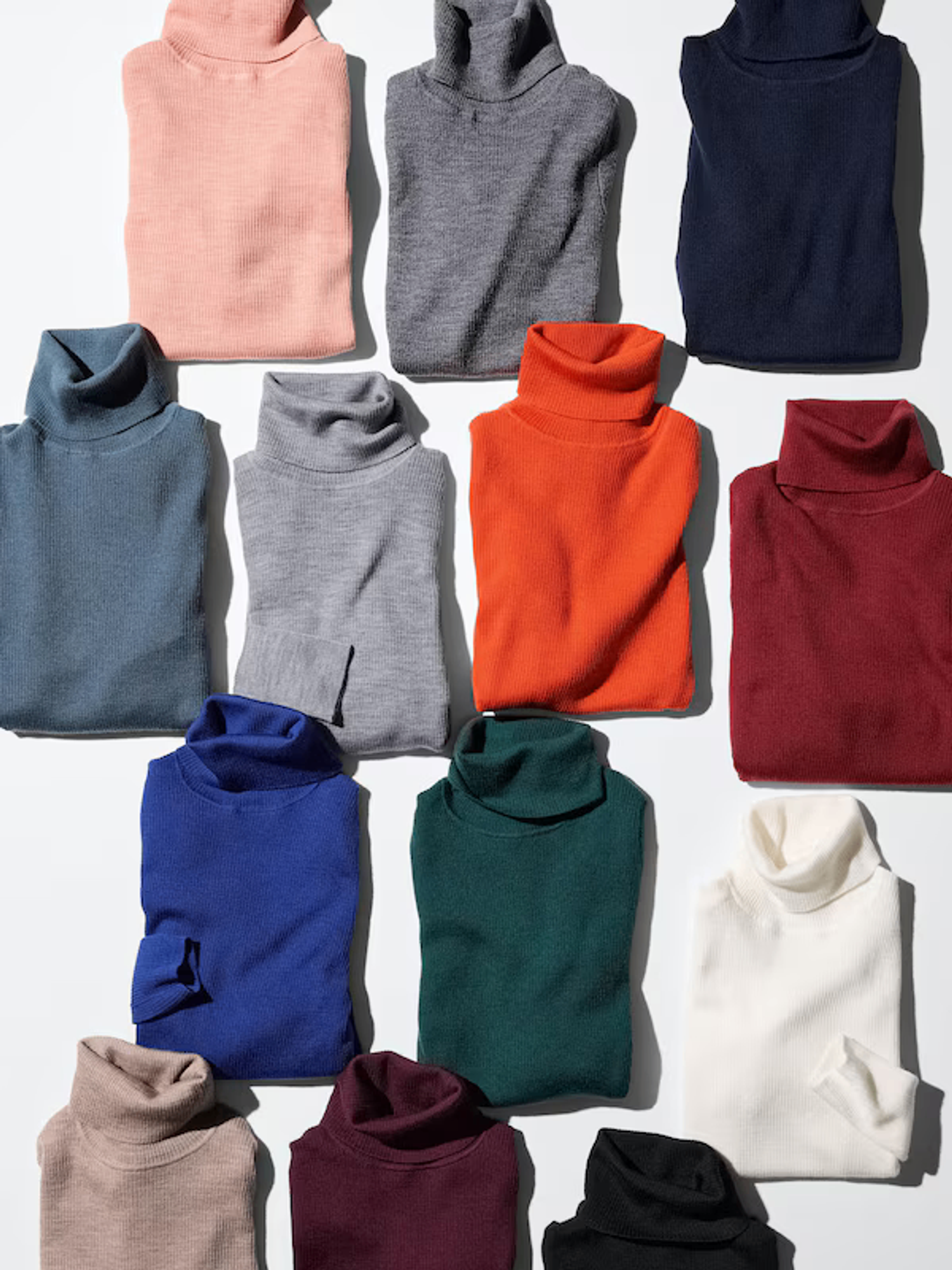 хоолойтой мэрино 