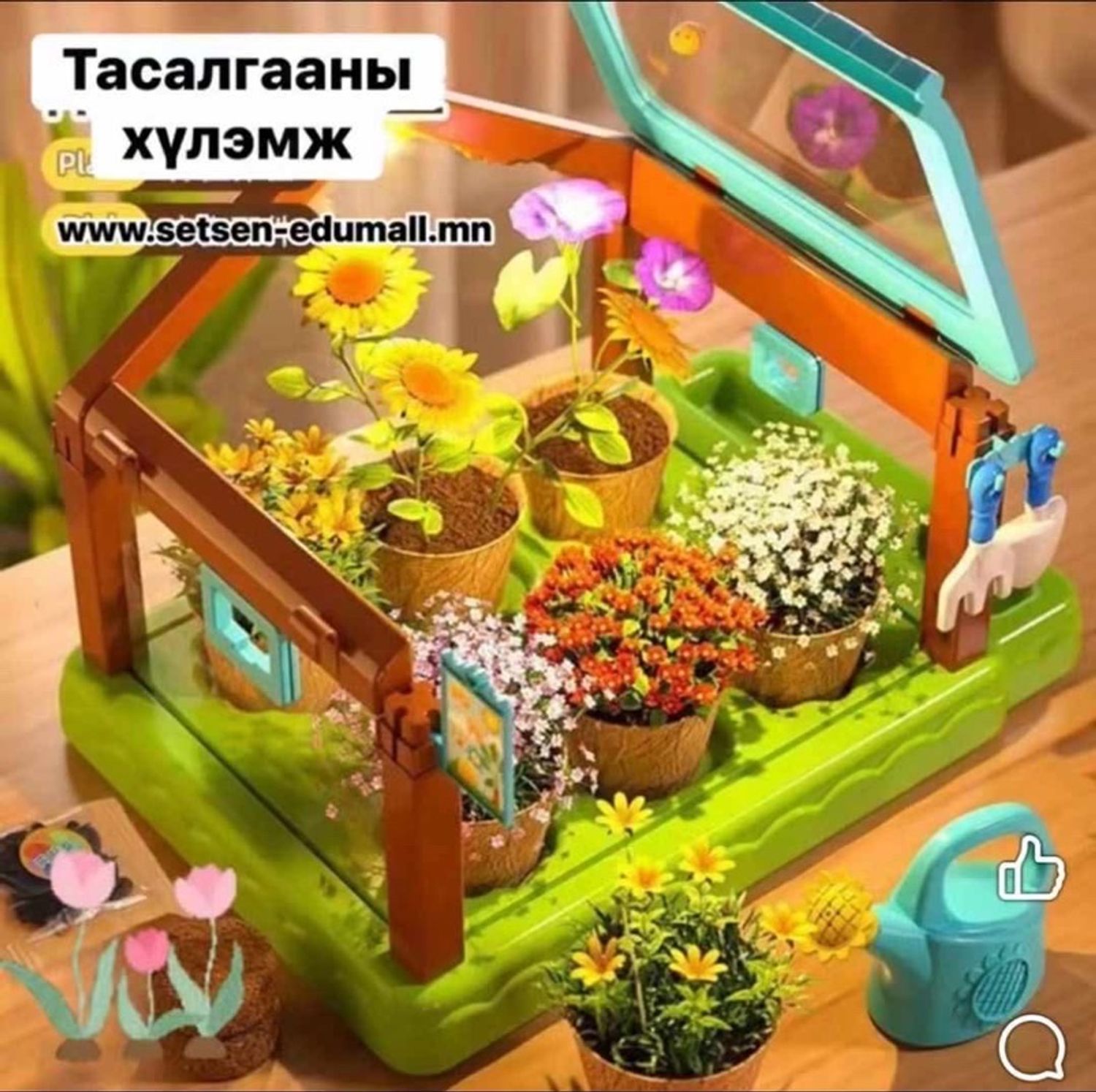 Хүлэмж тасалгааны 